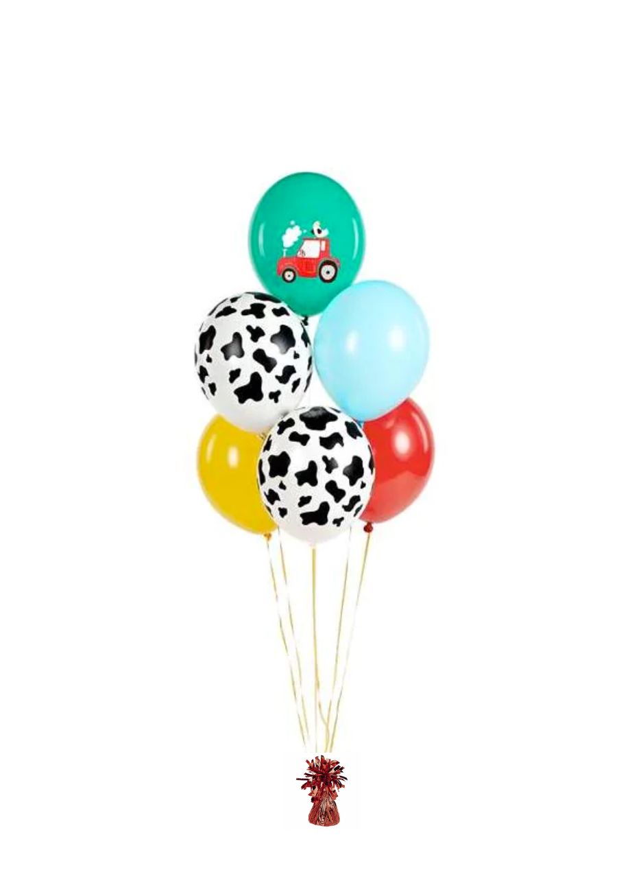 Ramo de globos granja