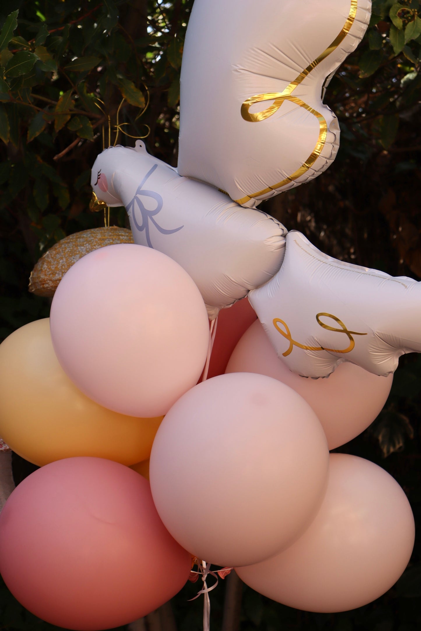 Ramo de Globos Paloma