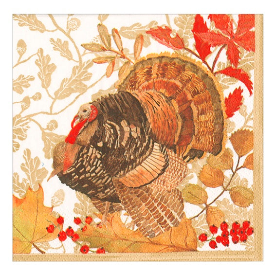 Servilletas Acción de Gracias Pavos 25 x 25 cm, Pack 20 u.
