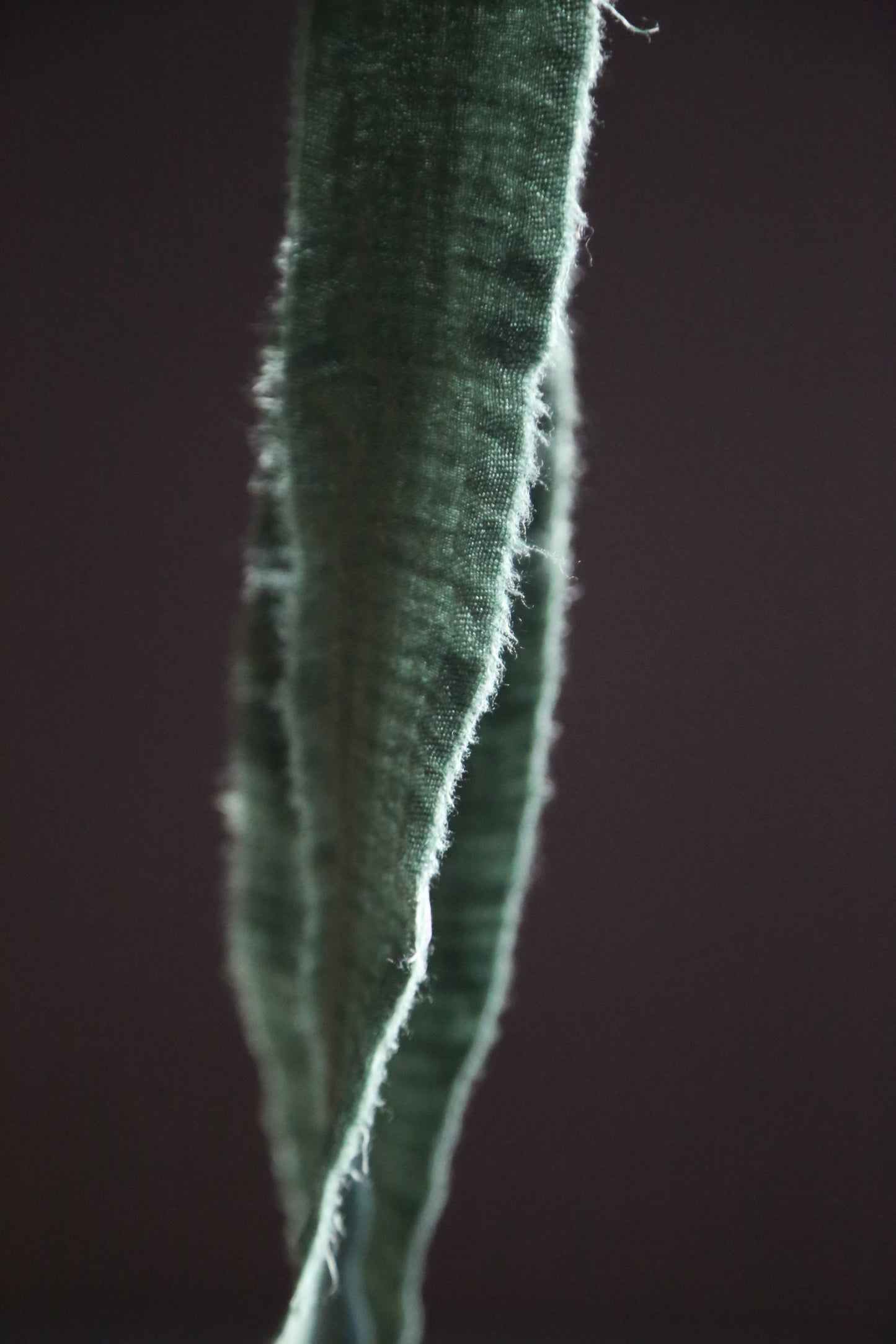 Lazo de tela bambula verde oscuro