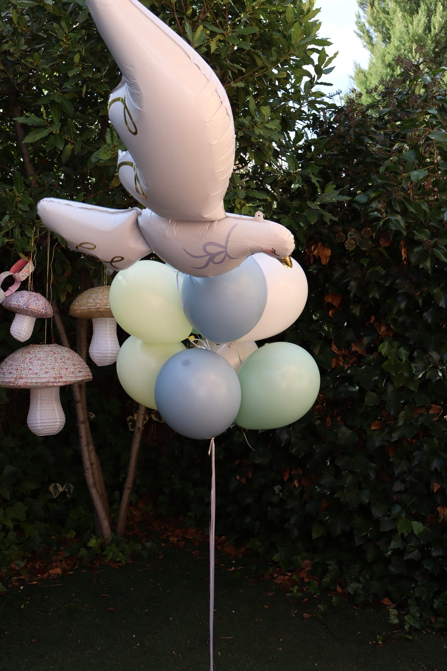 Ramo de Globos Paloma