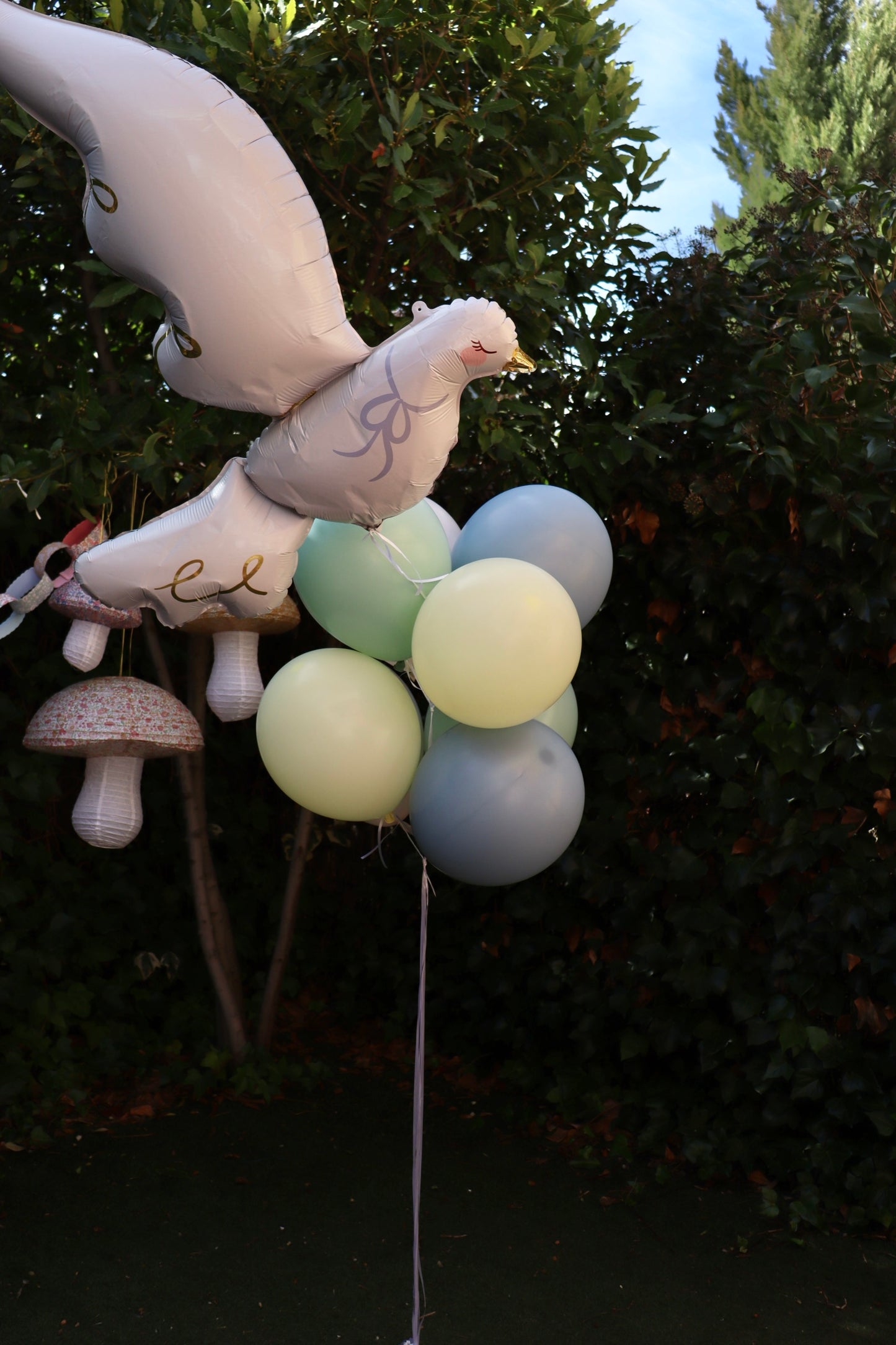 Ramo de Globos Paloma